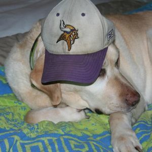 Meet your Posher, Scott